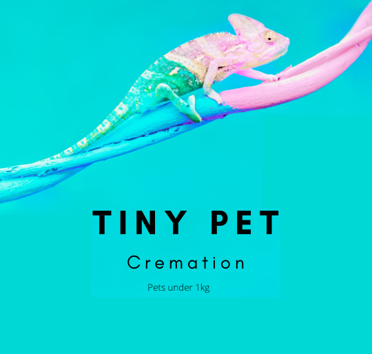 
tiny pet cremation under 1kg