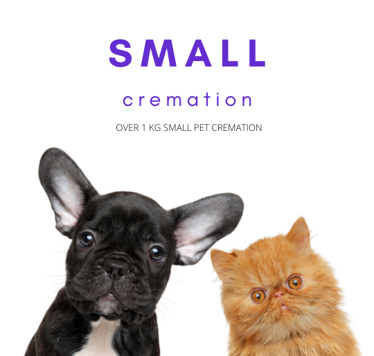 Small Pet Cremation
