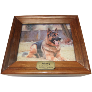 Pet Cremation Premium 9 – Timber Photo Box in Walnut