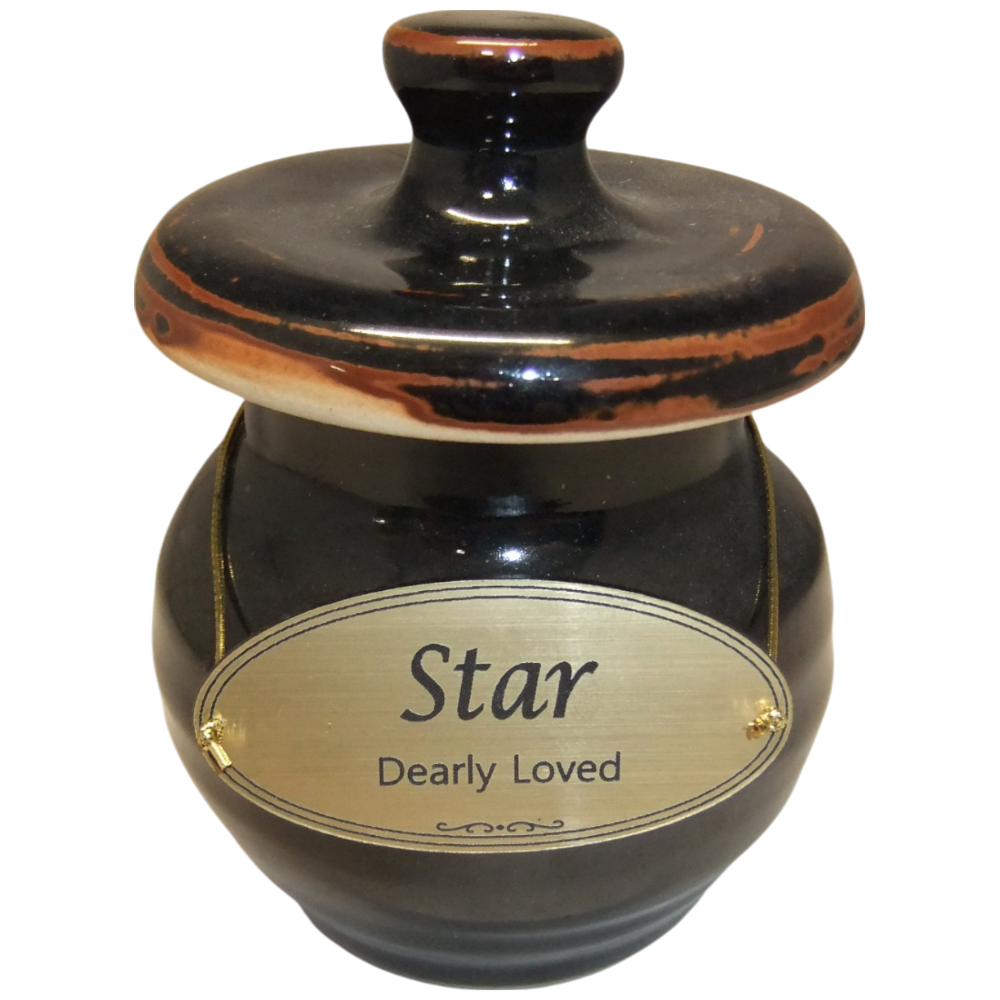 Tiny Pet Cremation Gold Memorial Ceramic Urn in Rustic Black
