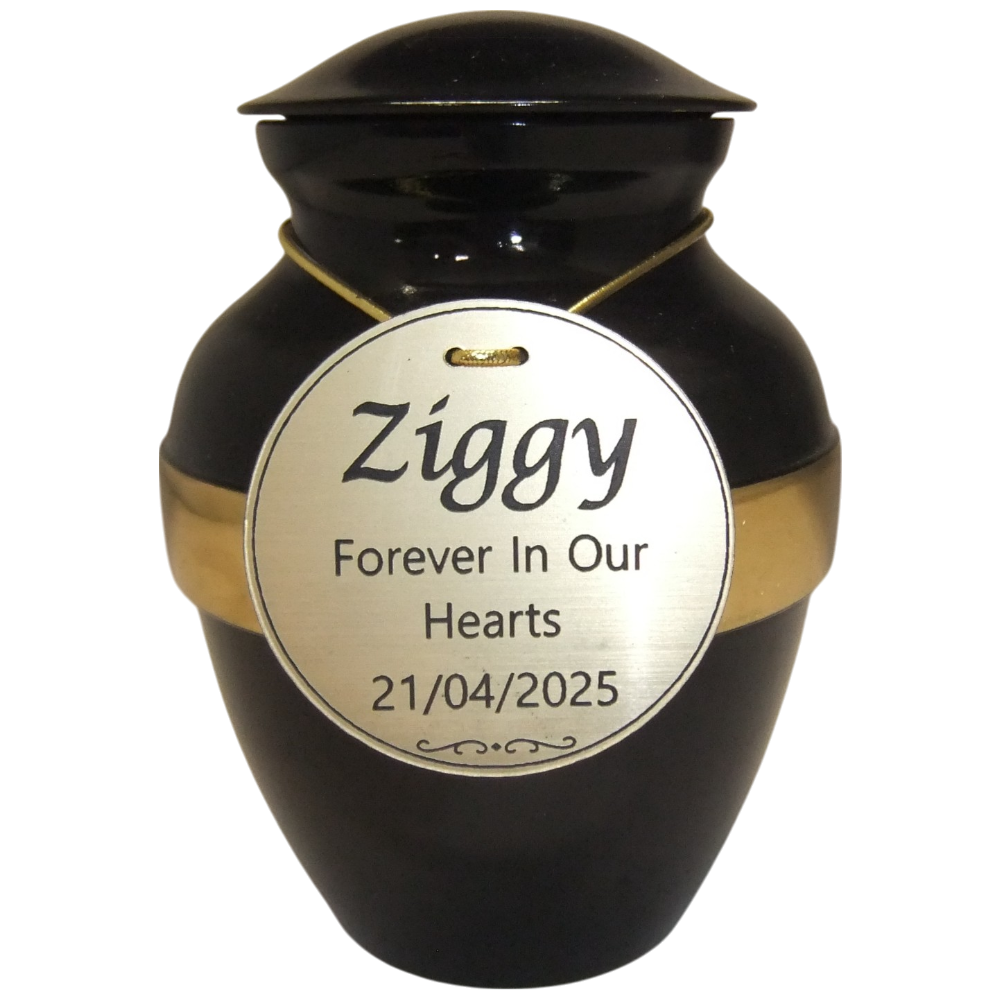 Tiny Pet Premium 6A Metal Urn in Black with Gold Band