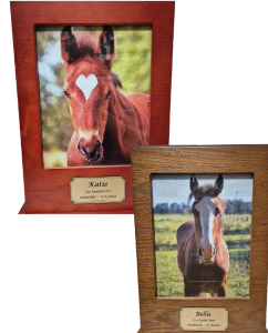 Premium 1: Solid Cherry Or Walnut Timber Photo Boxes