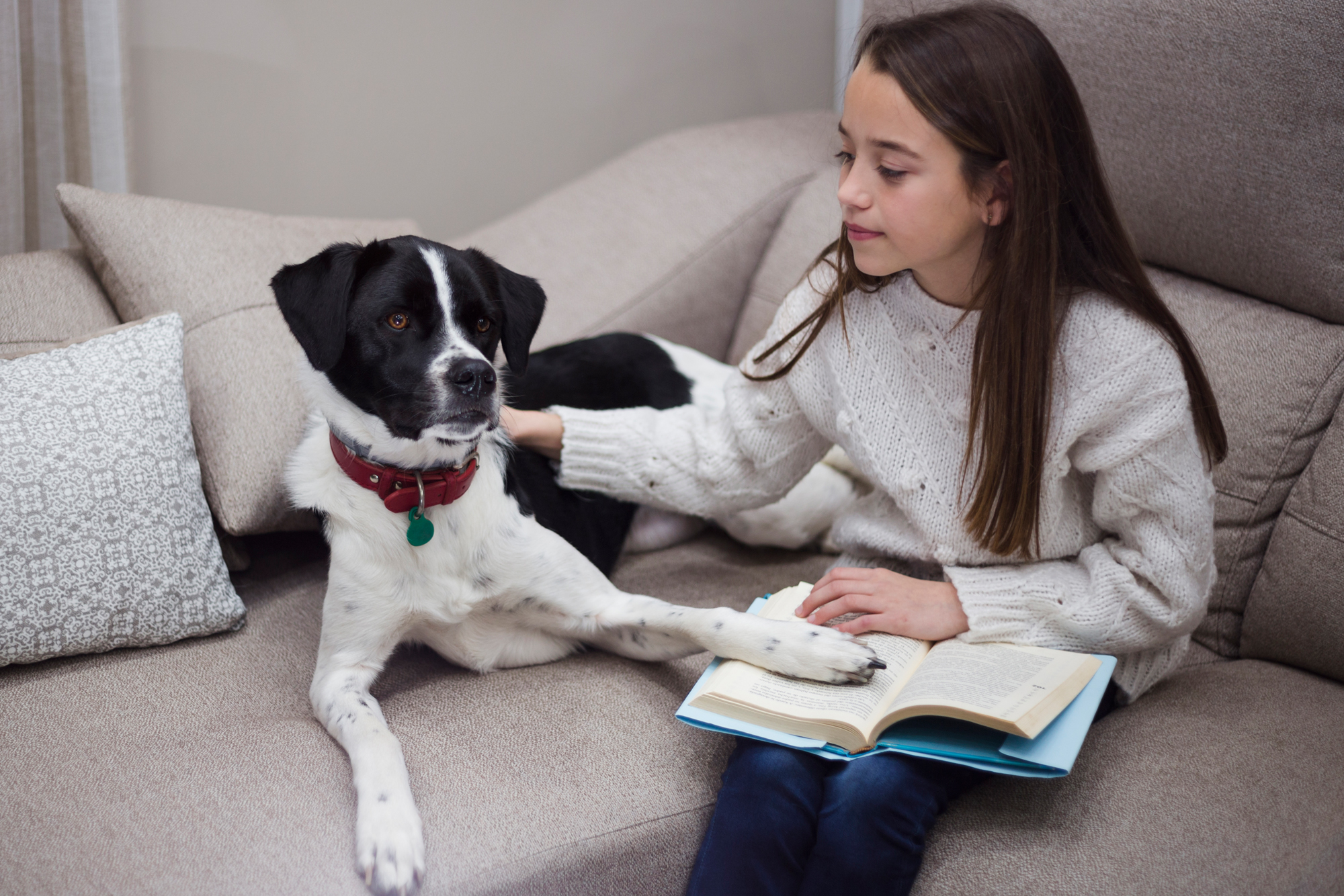 Children’s Books To Help Deal With The Loss Of A Pet