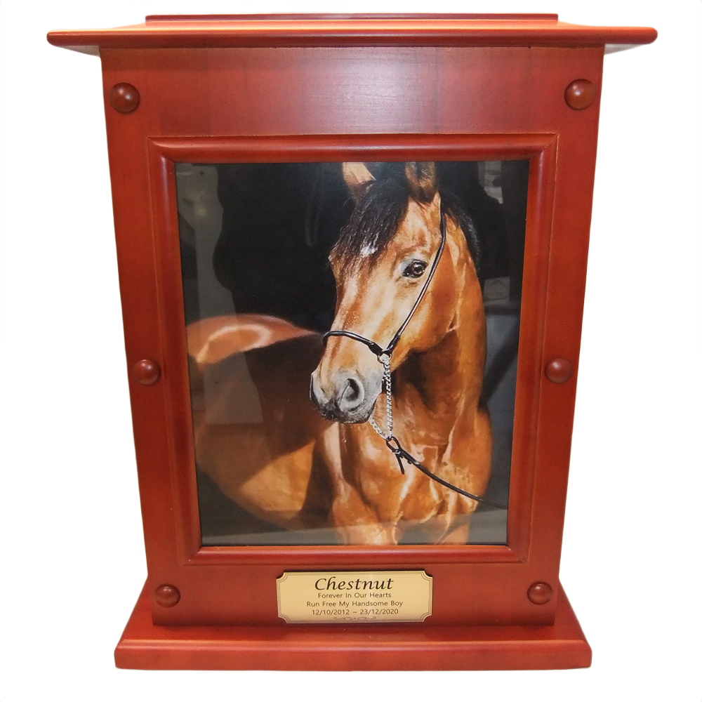 Large Pet Cremation Premium 1 – Cherry Photo Box