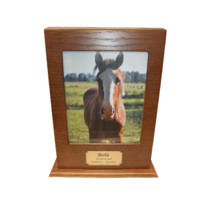 Large Pet Cremation Premium 1 - Oak Photo Box