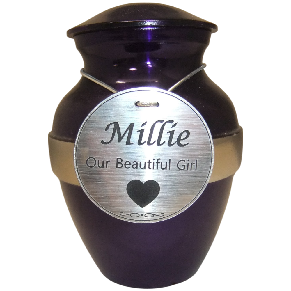 Tiny Pet Premium 6A  Metal Urn in Purple with Silver Band