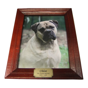 Pet Cremation Premium 9 – Timber Photo Box in Rosewood