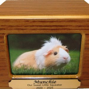Tiny Pet Cremation Premium 8 – Timber Photo Box In Cedar