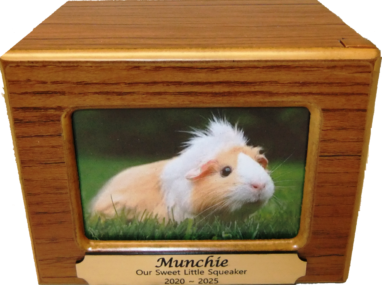 Tiny Pet Cremation Premium 8 – Timber Photo Box In Cedar