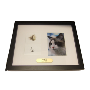 KEEPSAKE HAIR AND PAW PRINT FRAME WITH PHOTO