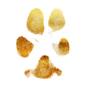 GOLD INK PAW PRINT