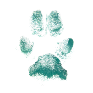GREEN INK PAW PRINT