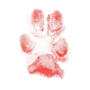 RED INK PAW PRINT