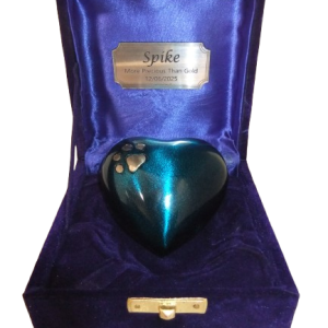 KEEPSAKE TEAL HEART WITH PAW PRINT IN A VELVET BOX