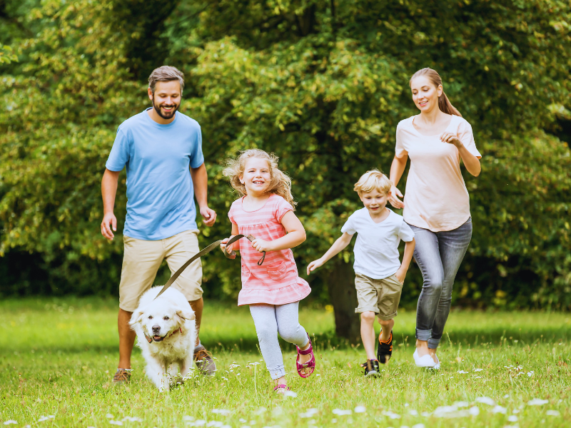 Supporting Pet Owners Through Grief – More Than Just Cremation