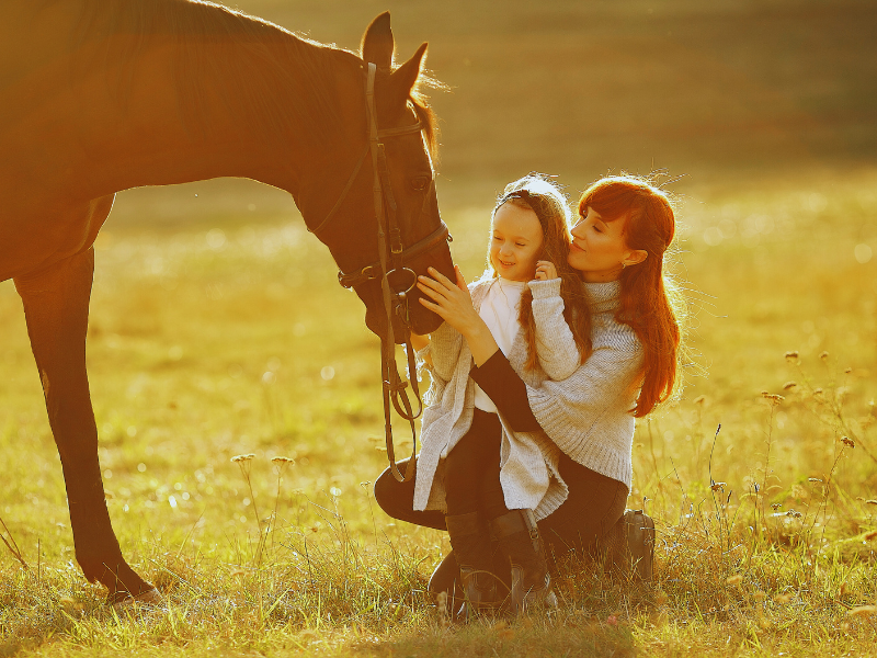 Our Large-Animal Cremation Services for South East Queensland