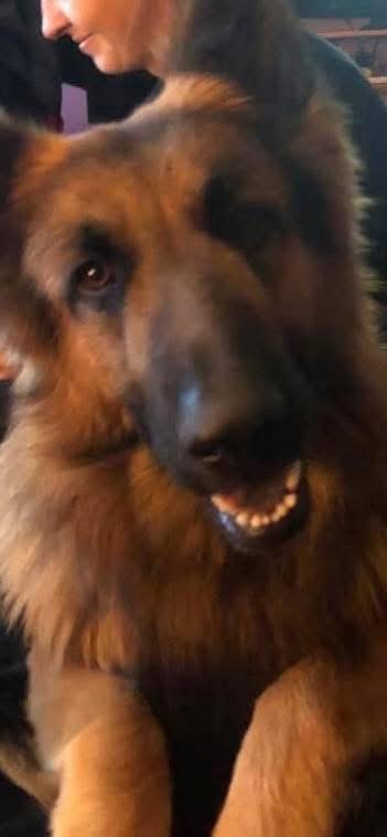 Loki